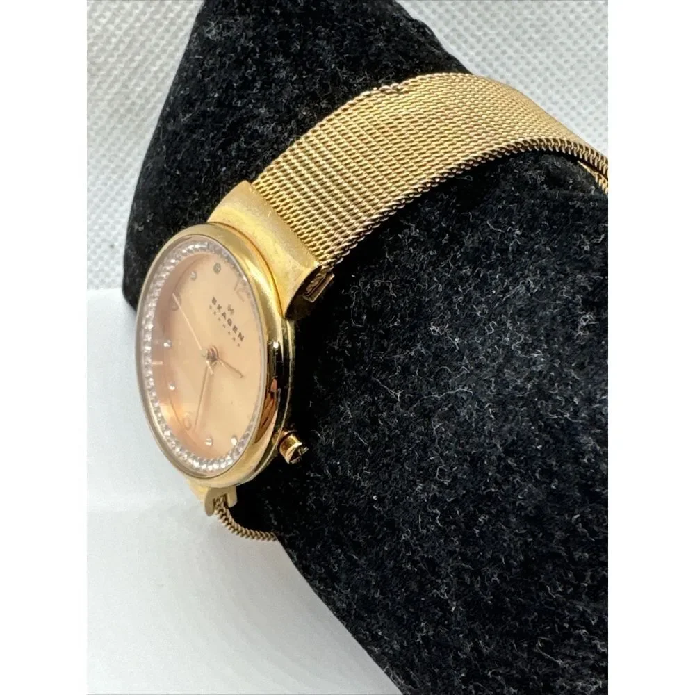 Unbranded skagen skw2253